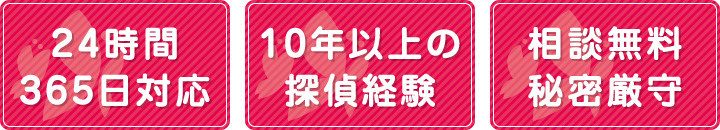 探偵10年以上の経験